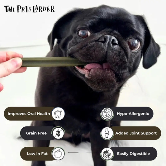 Spinach & Cranberry Chew Stick Vegetable Chew For Dogs