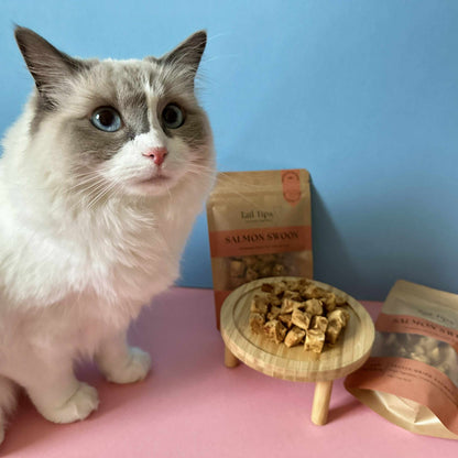 Salmon Swoon - 100% Freeze-Dried Salmon Treats | Pure & Natural | Tail Tips UK | 50g pack