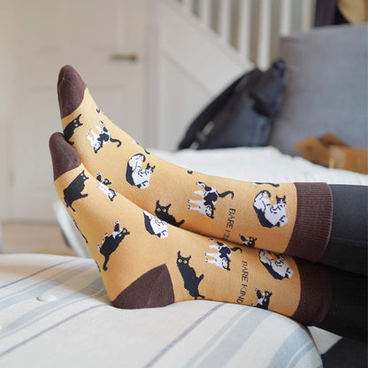 Brown Cat Pet 2 Pairs Bamboo Sock Set