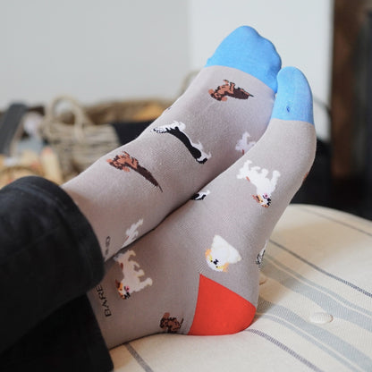 Grey Dog Pet 2 Pairs Bamboo Sock Set
