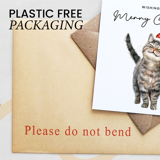 Cat Christmas Card – Cute Tabby Cat Lover Card – Eco Friendly “Merry Christmas” Card – Funny Pet Holiday Card