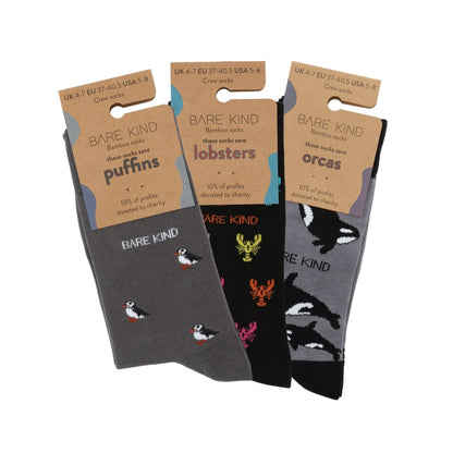 Midnight Ocean Classic 3 Bamboo Sock Set