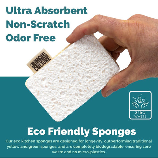 Eco Dish Sponges | Pack of 4