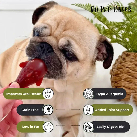 Strawberry & Banana Dolphin Vegetable Chew For Dogs