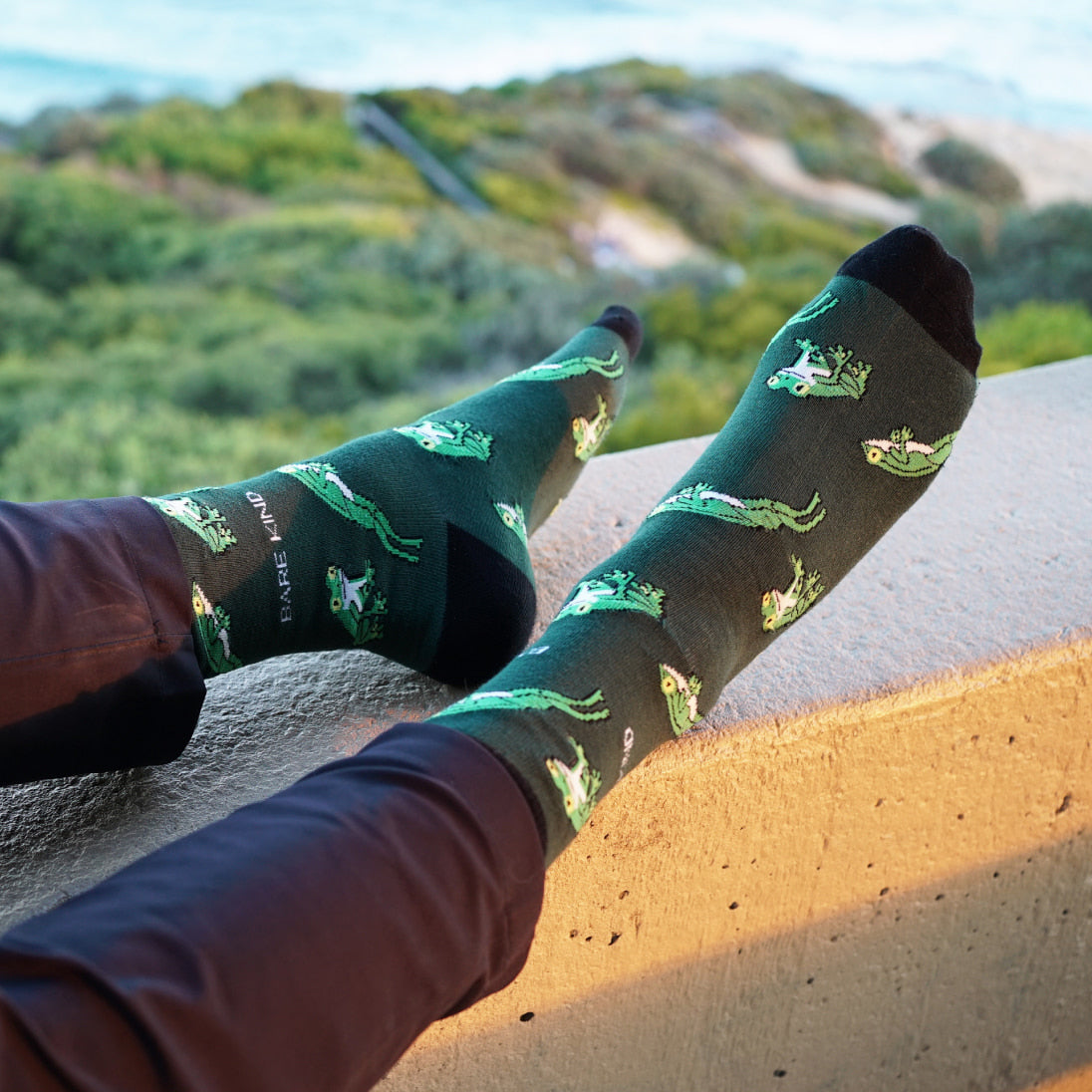 Save the Tree Frog Bamboo Socks